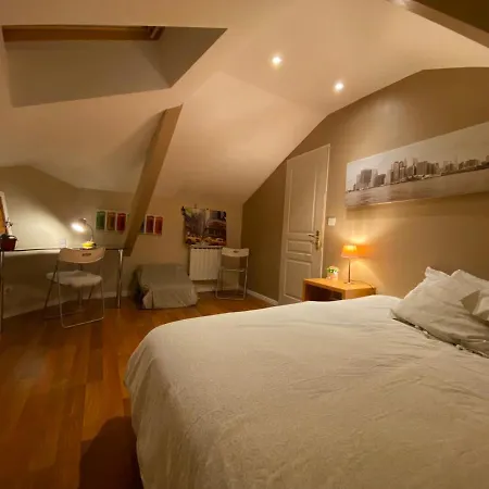 Au Centre Tres Cosy נאנסי