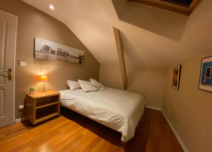 Au Centre Tres Cosy * נאנסי